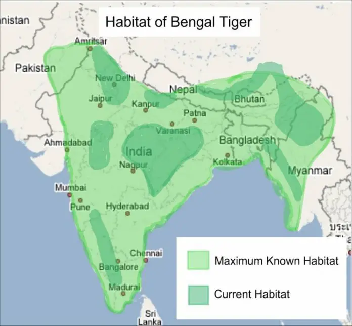 Where Do Bengal Tigers Live? – Habitat • Animals Answers