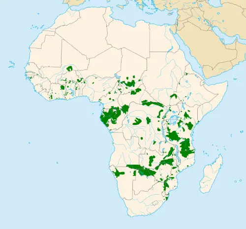 Where Do African Elephants Live? - African Elephant Range & Habitat